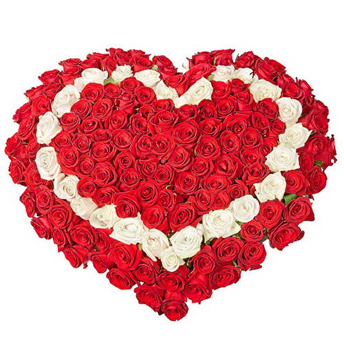 Фото товара 101 роза сердцем - красная, белая, красная в Умани