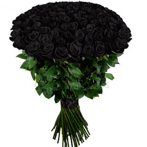 Фото товара 101 черная роза в Умани