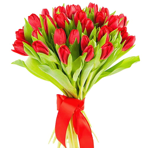 Фото товара 25 красных тюльпанов в Умани