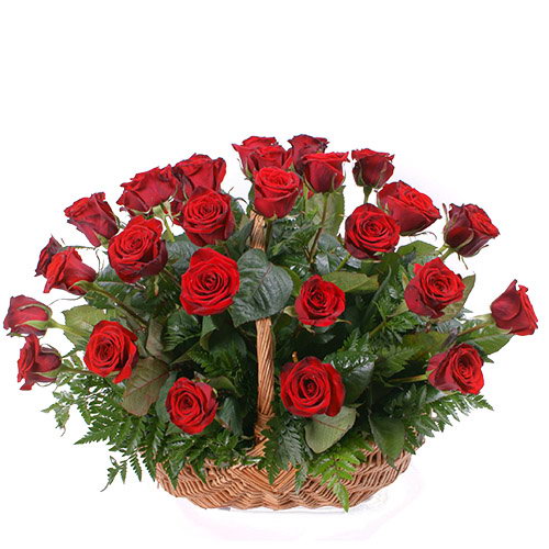 Фото товара 35 красных роз в корзине в Умани