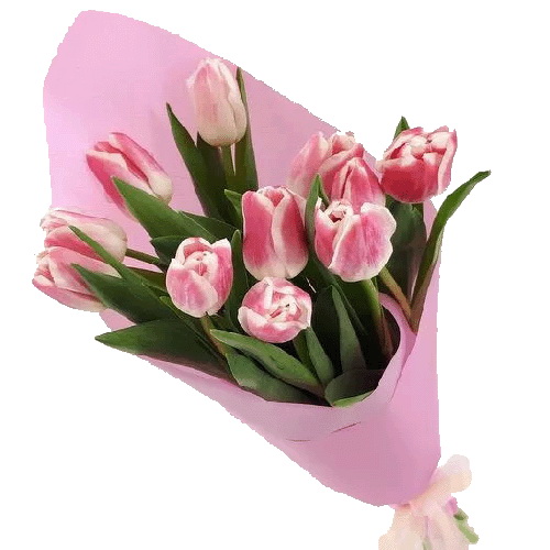 Фото товара 11 розовых тюльпанов