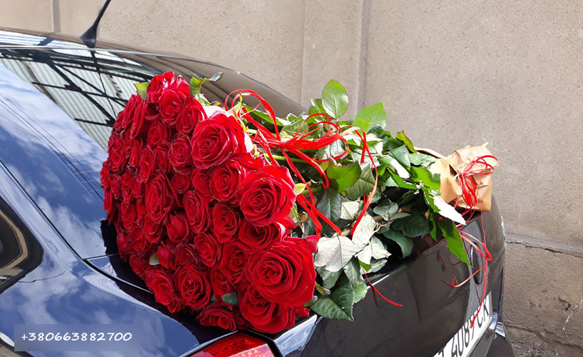 букет из 51 розы в Умани фото