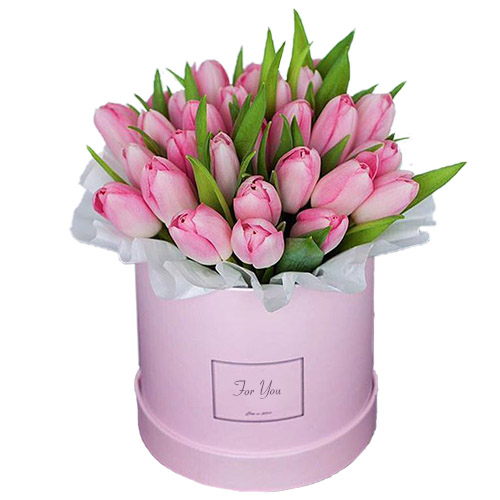 Фото товара 31 нежно-розовый тюльпан в коробке в Умани