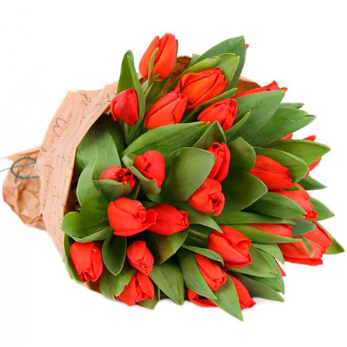 Фото товара 35 красных тюльпанов в "газете" в Умани