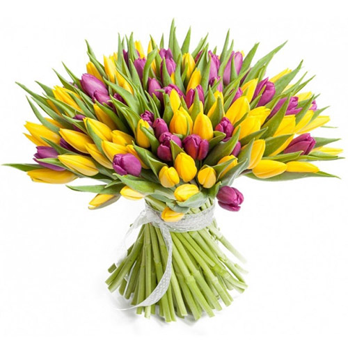 Фото товара 75 фиолетово-жёлтых тюльпанов в Умани