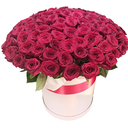 Фото товара 101 роза красная в шляпной коробке в Умани