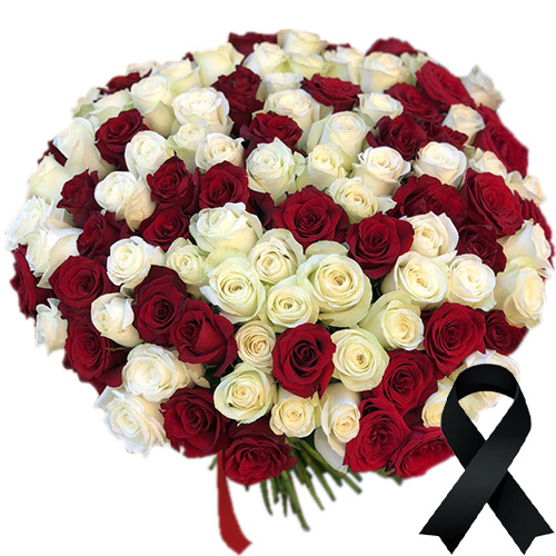 Фото товара 100 красно-белых роз в Умани