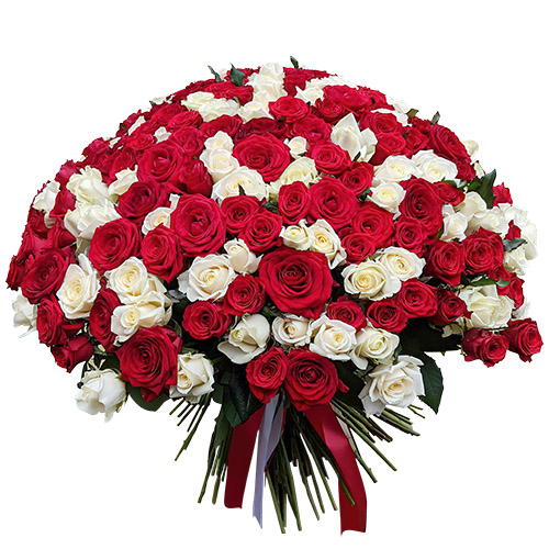 Фото товара 201 красная и белая роза в Умани