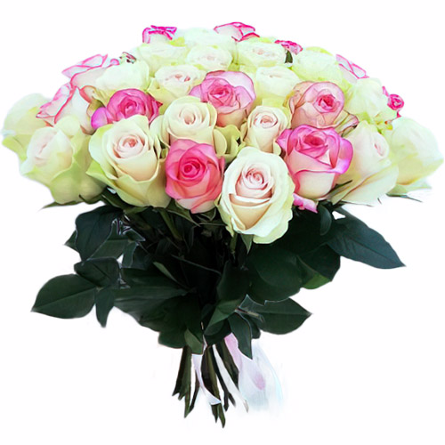 Фото товара 33 кремовые и розовые розы в Умани