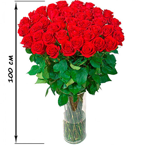 Фото товара 35 высоких роз (100 см) в Умани