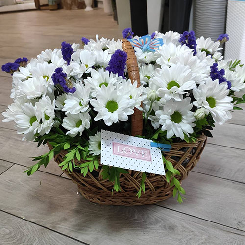 product category Flowers in baskets | Uman | «Санта Роза»