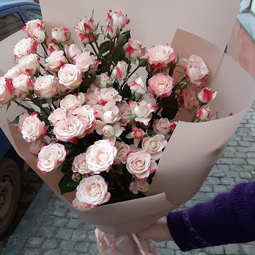 цветы и подарки на 8 Марта в категории Средняя цена | «Санта Роза»