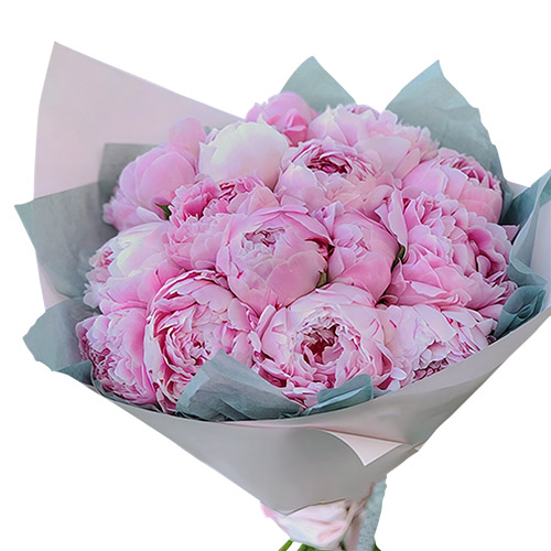 Фото товара 19 розовых пионов в Умани
