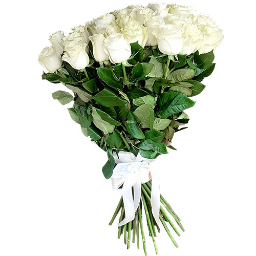 Фото товара 33 белые розы в Умани