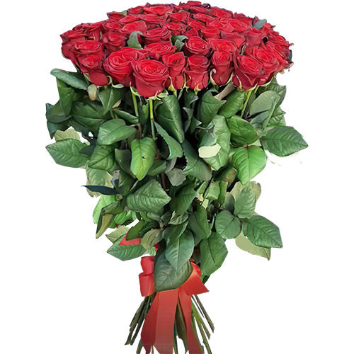 Фото товара Букет троянд 51 червона в Умани