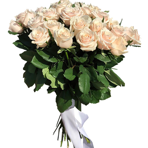 Фото товара Букет из 33 кремовых роз в Умани