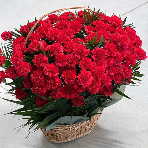100 гвоздик у кошику в Умани Фото товара 100 гвоздик у кошику в Умани